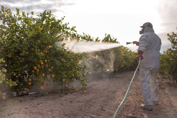 Best Best Pest Control Companies  in Felton, DE
