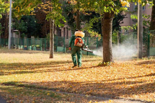 Best Local Pest Control Services  in Felton, DE