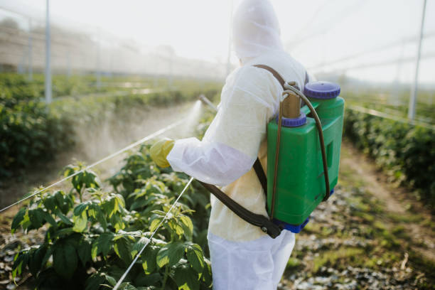 Best Exterminator Services  in Felton, DE